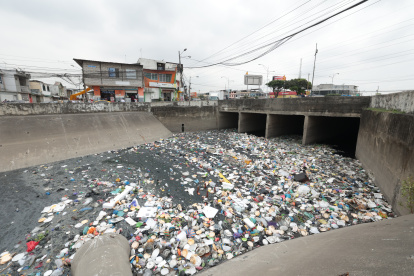 Un pedido recurrente en Guayaquil se centra en darle vida a los parques y los canales de agua naturales, hoy convertidos en focos contaminantes.
