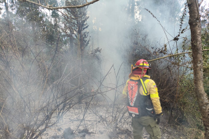 Pasadas las 16:00 de este 25 de agosto, los bomberos controlaron el incendio en Lumbisí.