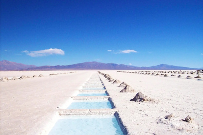 Las empresas han debido replantear sus estrategias.