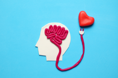 Los resultados de los registros de actividad cerebral han avanzando en la concreción de que el amor se activa en diferentes áreas cerebrales.