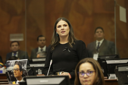 Ana Galarza, precandidata a la Asamblea Nacional por el movimiento Construye.