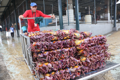 Comercio. En el mercado Caraguay uno de los comerciantes que vende cangrejos.