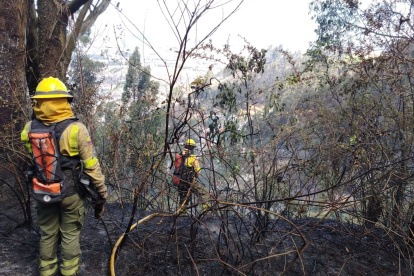 Hecho. Otro sector afectado por los incendios forestales es Chillogallo.