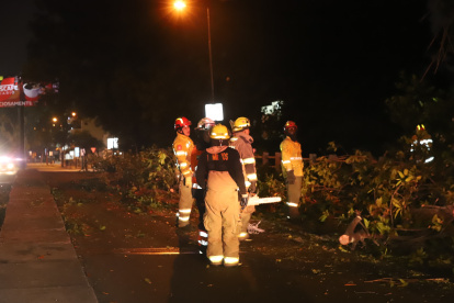 Cierre. Uno de los carriles de la avenida Las Monjas, está inhabilitado al tránsito por trabajos de áreas verdes.