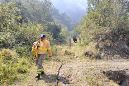 Bomberos de la zona centro del país trabajan en el incendio forestal.