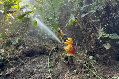 Bomberos de la zona centro del país trabajan en combatir el incendio forestal.