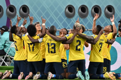 Selección ecuatoriana de fútbol en las eliminatorias sudamericanas