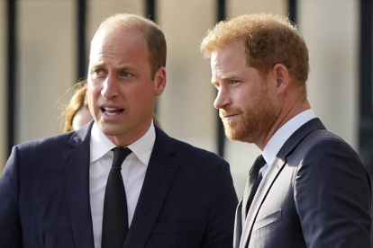 Harry con su hermano, Guillermo