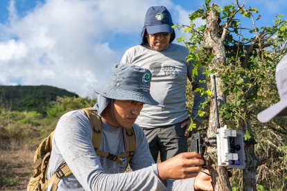 El personal de la fundación Jocotoco y del Parque Nacional Galápagos realiza monitoreo en la Isla Floreana.