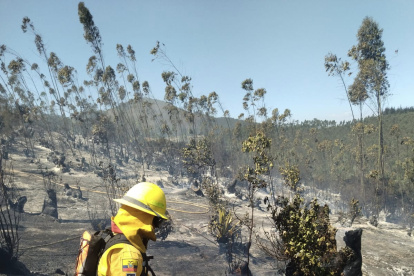 La Secretaría de Gestión de Riesgos actualizó la cifra de incendios en Ecuador. Se trata de 18 siniestros, se han podido controlar dos adicionales.