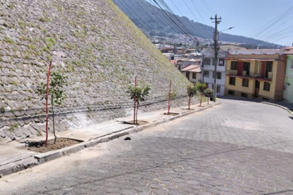 Proyecto. En el sector de San Juan, centro de Quito se colocaron los árboles