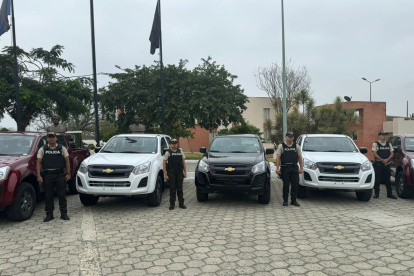 Todas las camionetas a entregar son nuevas, y corresponden a la adquisición de un total de 571 camionetas