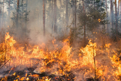 Incendios forestales en Quito