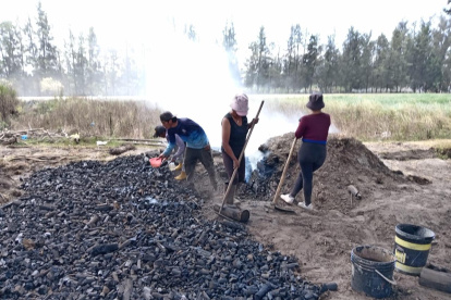 A la presunta infractora se la encontró quemando troncos de madera para la producción y venta de carbón