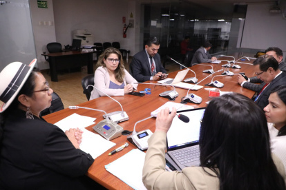 Proceso. Los integrantes de la comisión sesionaron de forma presencial.