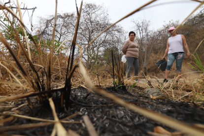 Comunidad recorre zonas del Bosque Palo Santo, encontrando restos de fogatas.