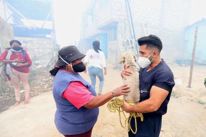 Veterinarios independientes y personal de Bienestar Animal acudieron a los sectores afectados por los incendios para dar atención a las mascotas