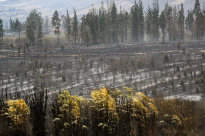 Fotografía donde se observa una zona afectada por un incendio en la población de Itulcachi, este viernes, a la afueras de Quito (Ecuador).