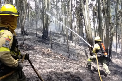 Los bomberos acudieron para sofocar el incendio forestal en el sector Mena del Hierro, norte de Quito.