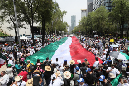Trabajadores del poder judicial protestaron esta semana en el exterior de la Cámara de Senadores en la Ciudad de México.