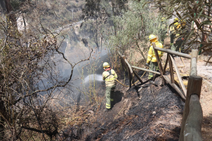 Nueva emergencia. Ayer, otro incendio se desató en el sector de Llano Chico. El Cuerpo de Bomberos acudió a apagar las llamas.