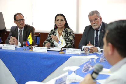 La presidenta del CNE, Diana Atamaint, se reunió con los delegados de la Unión Europea.