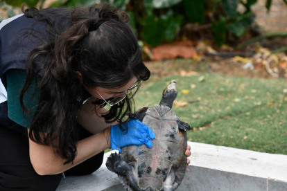 Funcionarios del Municipio de Guayaquil inspeccionan áreas de la ESPOL por denuncia de afectación a la fauna de la zona.