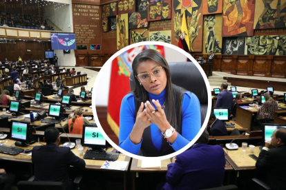 Diana Salazar y la Asamblea Nacional en una foto de archivo.