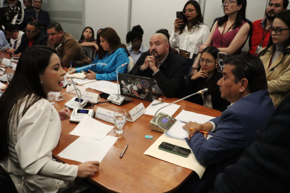 Apelación. El vicepresidente Luis Alvarado ocupó el lugar de la presidenta Pamela Aguirre. Esta no dejó de gritarle ni un momento durante cuatro horas.