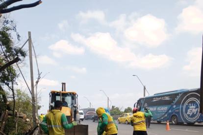 Personal del Municipio de Samborondón realizó la limpieza