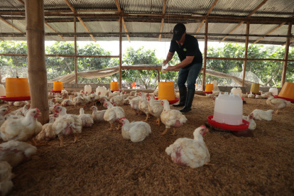 Los productores de proteína están preocupados por el TLC con Canadá.