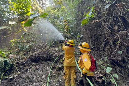 Bomberos de la zona centro del país trabajaron en la extinción del incendio.
