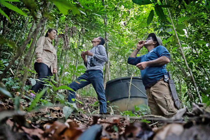 El ahorro se destinará a la conservación del Biocorredor amazónico