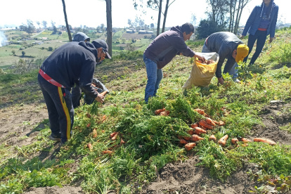 Septiembre es un mes especial para la cosmovisión andina, ya que coincide con la celebración del Kolla Raymi el 21