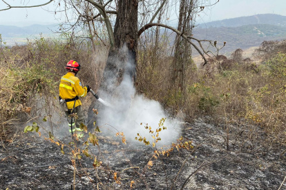 Las tareas continuaron este viernes 13 de septiembre.