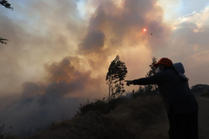 Dos instituciones financieras brindarán facilidades crediticias a los afectados.