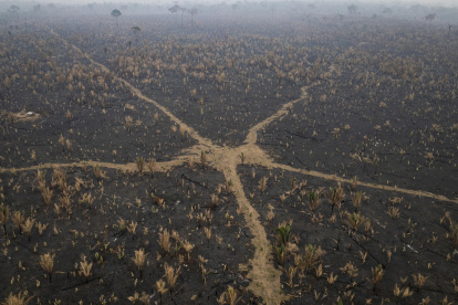Fotografía aérea que muestra la afectación por incendios de una zona del Parque Estatal Guajará Mirim este miércoles, en Nova Mamoré (Brasil).