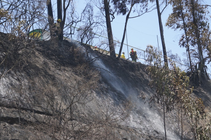 Uno de los incendios forestales ocurrió en la av. Simón Bolívar, a la altura de la Casa de la Selección.