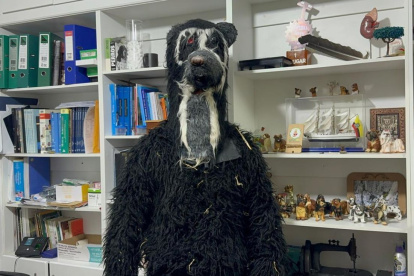 Veterinario se disfraza de un oso para