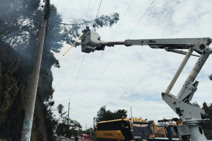 Un incidente con un árbol causó un corte de luz en seis barrios del norte de Quito.
