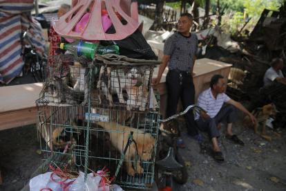 Unos vendedores junto a varios perros y gatos metidos en jaulas en un mercado chino, en una imagen de archivo.