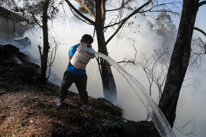 Quito. Una persona trata de apagar el fuego en un bosque.