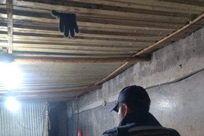 El indebido tratamiento de los desechos causaba la presencia de perros y de fuertes olores.