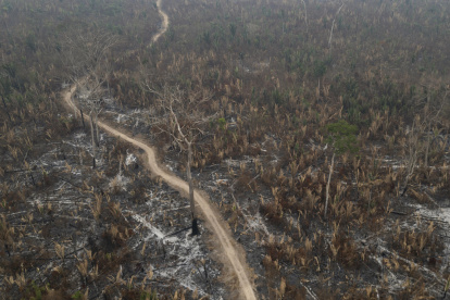 Fotografía aérea de archivo que muestra la afectación por incendios de una zona del Parque Estatal Guajará Mirim, en Nova Mamoré (Brasil)