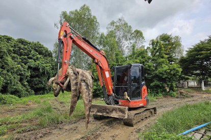 Un criadero de cocodrilos confirmó este martes que ha tenido que sacrificar a 125 de estos reptiles ante el temor de que se escaparan después de que las inundaciones erosionaron un muro del recinto.