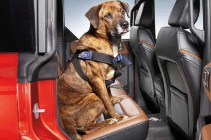 Así estarían protegidos con los nuevos modelos de arnés patentados