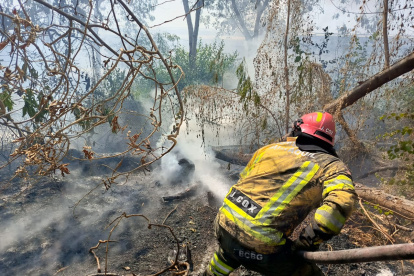El incendio se registró en el sur de la ciudad.