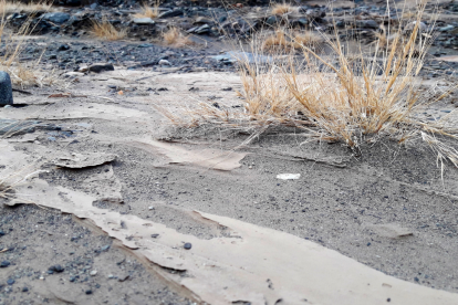 La falta de lluvias, es decir la severa sequía que afronta el país, ha mermado la reserva de agua de los sembríos de las fincas.