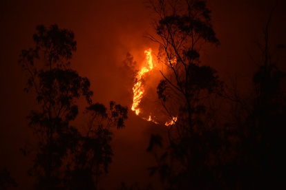 El Gobierno Nacional detalló que la información será recibida a través de la línea 131.