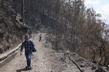 Zonas afectadas por los incendios en el sector de Bellavista, en Quito.